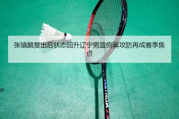 张镇麟复出后状态回升辽宁男篮侧翼攻防再成赛季焦点